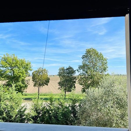 Agriturismo Sabidor Malalbergo Esterno foto