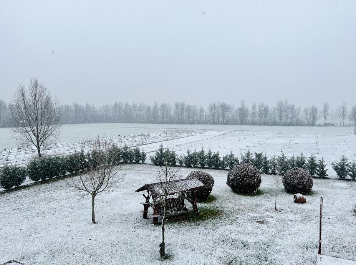 Agriturismo Sabidor Malalbergo Esterno foto